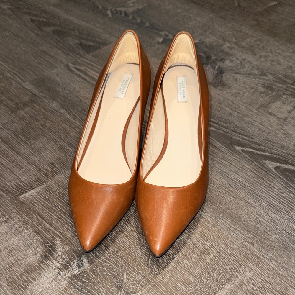 Pointed-Toe Brown Leather Heels